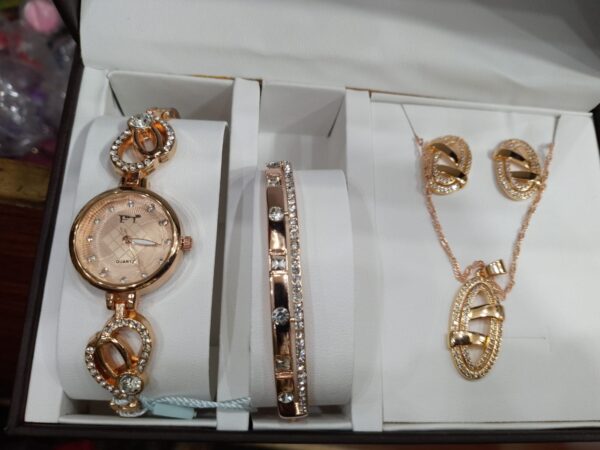 FT collection watch