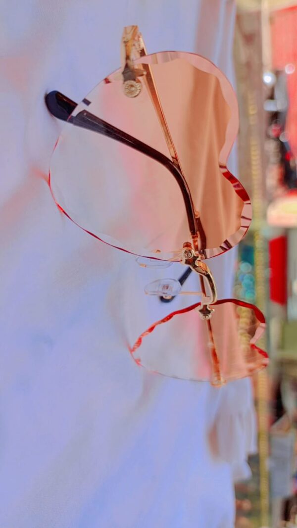 Fence glasses - Image 4